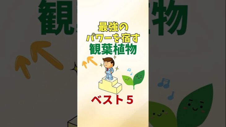 最強のパワーを宿す観葉植物はコレ【風水アドバイザーがご紹介】#shorts