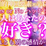 💘圧倒的神回要素含×辛口有🦋Yes or Noハッキリ あの人はあなたのこと好き？それとも別の感情…？🦋