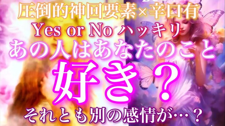 💘圧倒的神回要素含×辛口有🦋Yes or Noハッキリ あの人はあなたのこと好き？それとも別の感情…？🦋