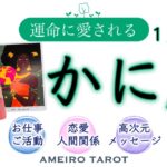 かに座１月後半🪽理想の世界へ🌈✨悩みの終わり、円満解決🥰重荷を手放す宣言を🐉‼️