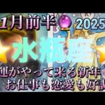 水瓶座♒️さん⭐️2025年✨1月前半の運勢🔮幸運がやって来る新年‼️お仕事も恋愛も好調✨タロット占い⭐️