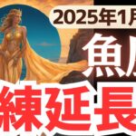 【魚座】2025年1月後半うお座さん…なぜ試練が続く?!新しい未来の光とは?!