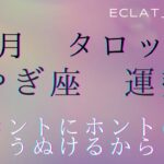 星座占い✨1月運勢【やぎ座さん】タロット前向きリーディング‼︎号泣😭またまた何があったの💦あなたへのギフト🎁はもう用意されている！