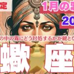 【R50指定】さそり座　1月の恋愛運　どっちの彼にしたいのかがわからない時に見てください。　50代以上　2025年