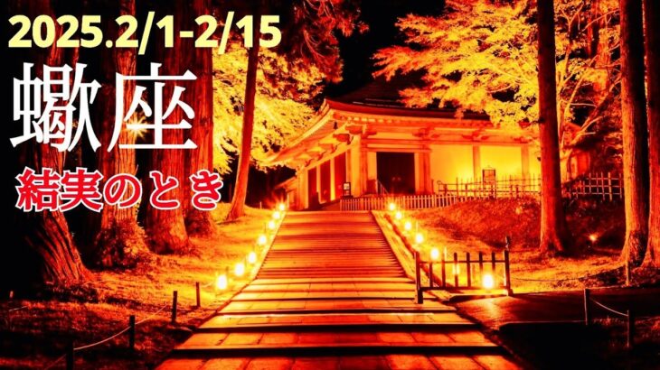 【2月前半 蠍座】過去から続く今が、ちゃんと最高の未来につながっている🌿🕊✨【運勢】【さそり座】【タロット】【開運】【占い】