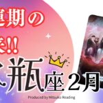 水瓶座2月は幸運期の到来❗️望みを叶えるなら今がチャンス❗️2025年2月運勢仕事恋愛人間関係♒️【脱力系タロット占い】