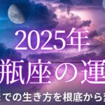 【12星座占い】2025年水瓶座の運勢