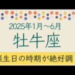 【牡牛座】2025年1月〜6月♉誕生日の時期が絶好調！得るものが多い。幸運へたどり着く。オラクルカードリーディング おうし座