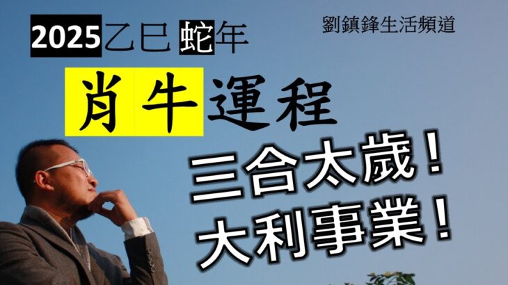 2025年肖牛運程 |三合太歲 大利事業| 太歲三合 | 劉鎮鋒生活頻道