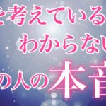 【恋愛タロット】何を考えているかわからない…あの人の本音😌🩷🩷【タロットオラクルルノルマンリーディング】