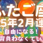 【ふたご座 2025年2月運勢】ついに自由になる・・！もう背負わなくていいよ🕊️