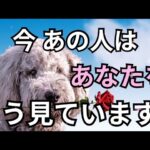 素直になれないあの人🥺今あなたの事をどう思っている？怖いくらい当たる❤️恋愛タロット占い ルノルマン オラクルカード細密リーディング