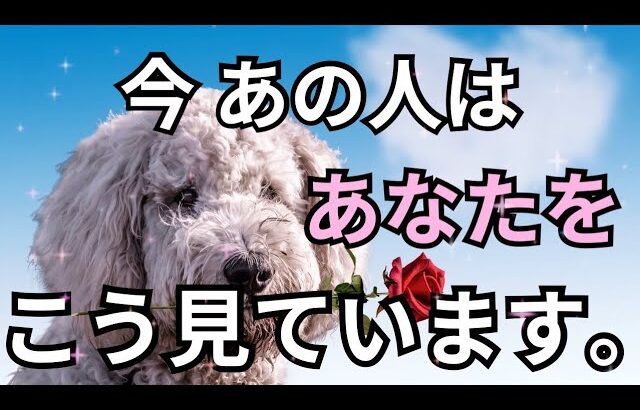 素直になれないあの人🥺今あなたの事をどう思っている？怖いくらい当たる❤️恋愛タロット占い ルノルマン オラクルカード細密リーディング