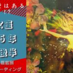 そこに愛はあるのか!?【乙女座】2025年1月後半の運勢をタロットリーディング！