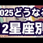 2025年12星座占い❗️西洋占星術❗️牡羊座、牡牛座、双子座、蟹座、獅子座、乙女座、天秤座、蠍座、射手座、山羊座、水瓶座、魚座❗️キャメレオン竹田