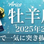 【おひつじ座】2025年2月♈️ 殻が破れる！力強い始まりの第一歩！出てくる瞬間、やっと表に、古さの一掃、予想以上のインパクト