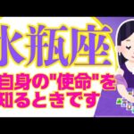 【みずがめ座2月】✨選ばれし自由人✨あなた様の出番でーーす!!!!🥳🎉｜なぜかよく当たる?!きっと役に立つ 詳細 綿密リーディング♒大革命期の水瓶座のみなさまへ✨