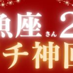 魚座さん2月運勢♓️ガチ神回💝金運スゴイ🪽衝撃結果🌟仕事運🫧対人運🌟金運👼【#占い #うお座 #最新】