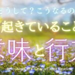 【運命🍀タロット】今起きていることの意味と行方🌈あなたが直面している現実には、それなりの理由があるのです🌈