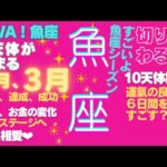 魚座♓️の2月、3月がすごい🎉星とカードのメッセージ