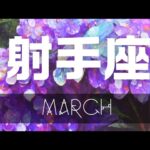 射手座♐3月🕊️安寧心＆志向期🌈Monthly Reading💎