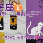 【双子座】♊️⭐️２月後半〜3月前半⭐️よく見極めて⁉️本当の夢に近づくために・・・それでいいのかな？＃双子座　 ＃推し活 ＃タロット　＃カードリーディング