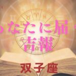 【双子座♊️】あなたに来る吉報💌星座占いにはおみくじはありませんのでご了承下さい🙇‍♀️