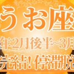 【うお座】2月後半運勢　もう大丈夫✨涙の完結、停滞期脱出へ🌈幸運の鍵は、チャンスに飛び乗ってみること【魚座 ２月】タロットリーディング