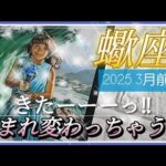 【3月前半🍀】蠍座さんの運勢🌈きたーーっ‼生まれ変わっちゃう👀✨✨