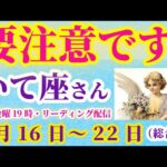 【射手座】2025年2月16日から22日までのいて座の総合運。#射手座 #いて座