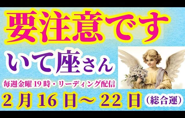 【射手座】2025年2月16日から22日までのいて座の総合運。#射手座 #いて座