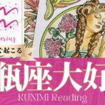 水瓶座♒将来を見据えて決断することで大好転🍀もうすぐ起こる大好転🍀どんな大好転が🍀いつ頃起こる？🌝月星座みずがめ座さんも🌟タロットルノルマンオラクルカード