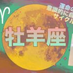 【3月前半✴︎牡羊座】一歩引いて全体を見渡す時◎自分の選択は全部ベスト🔥自分を生きる。過去を乗り越える関係💓【2025】