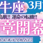 【牡牛座】最幸の〇〇に辿り着く！！牡牛座さん、ガラッと変わります🐦‍🔥【仕事運/対人運/家庭運/恋愛運/全体運】3月運勢  タロット占い