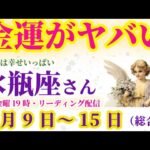 【水瓶座】2025年2月9日から15日までのみずがめ座の総合運。#水瓶座 #みずがめ座