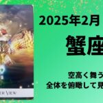 【蟹座】全体を俯瞰して空高く舞う！！【かに座2025年2月16〜28日の運勢】