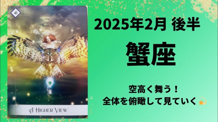 【蟹座】全体を俯瞰して空高く舞う！！【かに座2025年2月16〜28日の運勢】