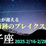 【2月後半 獅子座】ここからは早い展開！触れるものすべてが金に変わる！🌿🕊✨【運勢】【しし座】【タロット】【占い】