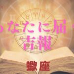 【蠍座♏️】あなたに来る吉報💌星座占いにはおみくじはありませんのでご了承下さい🙇‍♀️