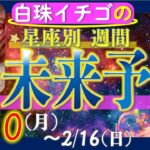 ★忖度なし★2025年2月10日〜2月16日の星座別☆未来予報★運気を上げるアドバイスつき★