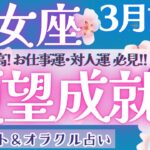 【乙女座】 レア回‼︎ 大アルカナ集合！！乙女座さん最高です♥️【仕事運/対人運/家庭運/恋愛運/全体運】3月運勢  タロット占い