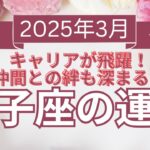 【12星座占い】2025年3月双子座の運勢✨キャリアが飛躍的にアップ！