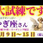 【山羊座】2025年2月9日から15日までのやぎ座の総合運。#山羊座 #やぎ座