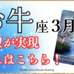 牡牛座3月は流れを引き寄せて開運❗️自分ファーストでいいんですよマジで❗️2025年3月運勢仕事恋愛人間関係♉️【脱力系タロット占い】