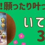 【射手座】３月♐️すごい‼️願ったり叶ったり❗️幸せを実感する✨たくさんの豊かさを受け取る‼️