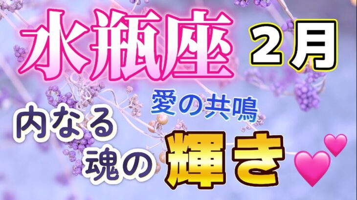 🔔みずがめ座💕2025年２月🔔🌟幸せの実りの時、心にゆとりが戻ってきて魅力増し増し🌟ここで終わりじゃない！そう思える仕事運、一時的に不満はあっても頑張ってる自分を信頼することで成功へ😀状況に変化、