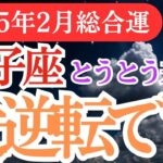 【双子座】2025年2月ふたご座の運勢💫 迷いを手放し、双子座の新たな未来へ踏み出す時 💫