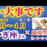 【山羊座の総合運x血液型】2025年2月から4月までのやぎ座の総合運。#山羊座 #やぎ座