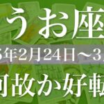 【うお座】週間リーディング（2025年2月24日〜3月2日）♓️好転！結構すごい波来るかも！動いていることを実感