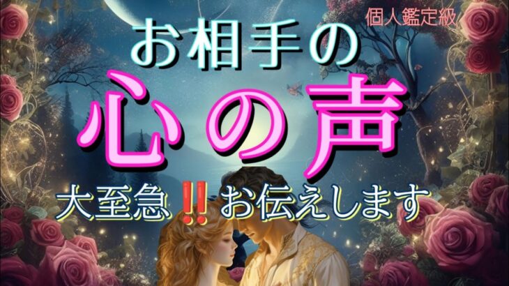 【※ガチすぎ】お相手の心の声😳大至急‼️お伝えします❤️恋愛タロット占い